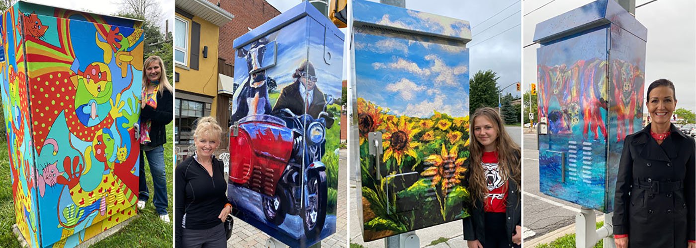 Local artists transform utility boxes into works of art Town of